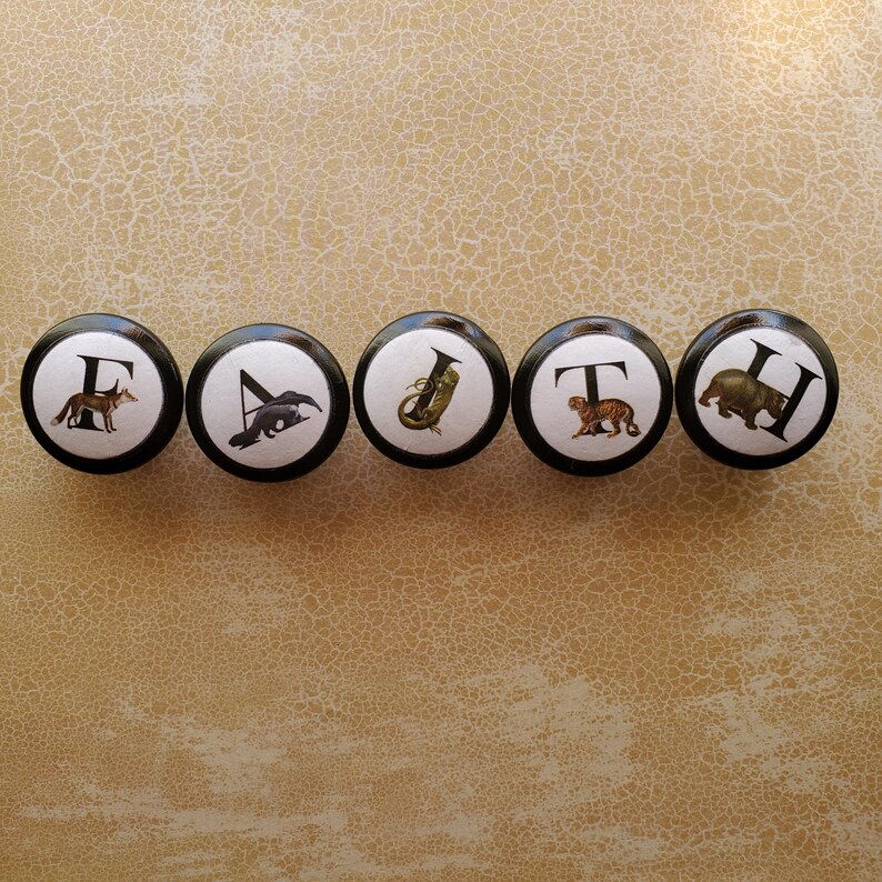 以下が含まれることがあります： 黒い縁と白い中心を持つ5つの丸いキャビネットノブ。各ノブには文字と動物のイラストが描かれています。キツネ、コウモリ、トロンボーン、トラ、カバです。ノブは、テクスチャ加工されたベージュ色の表面に並んでいます。