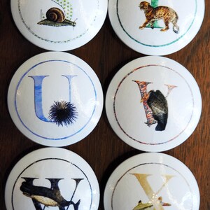 May include: Six white, round cabinet knobs with letters and illustrations. The knobs feature the letters S, T, U, V, W, and X, each paired with an image of a snail, a cat, a sea urchin, a bird, a whale, and a fish.