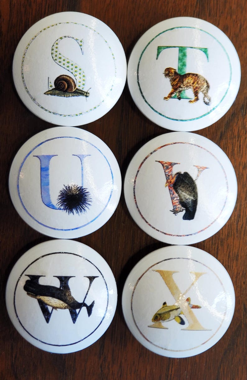 May include: Six white, round cabinet knobs with letters and illustrations. The knobs feature the letters S, T, U, V, W, and X, each paired with an image of a snail, a cat, a sea urchin, a bird, a whale, and a fish.