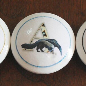 May include: Five white ceramic cabinet knobs with animal illustrations and letters. The knobs feature a whale, bear, anteater, lion, and elephant. Each knob has a black border and a gold letter.