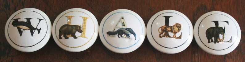 May include: Five white ceramic cabinet knobs with animal illustrations and letters. The knobs feature a whale, bear, anteater, lion, and elephant. Each knob has a black border and a gold letter.