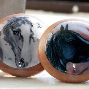 Drawer knobs The Four Horses 4 pc Set image 4