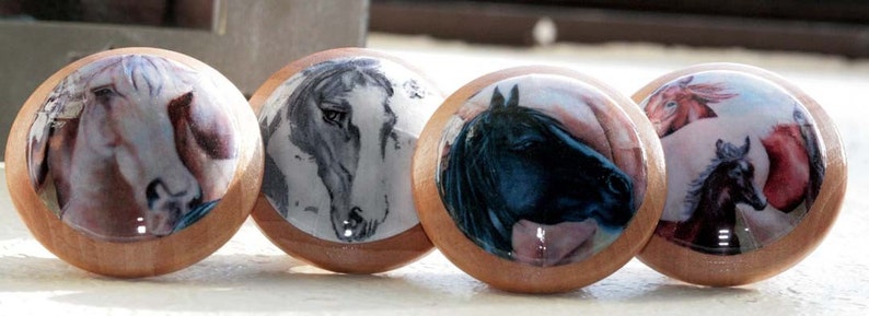 Drawer knobs The Four Horses 4 pc Set image 4
