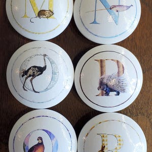 May include: Six white cabinet knobs with letters and animal illustrations. The knobs feature the letters M, N, O, P, Q, and R, each paired with a corresponding animal: a mouse, narwhal, ostrich, porcupine, quail, and rabbit.