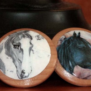 Drawer knobs The Four Horses 4 pc Set image 3