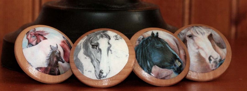 Drawer knobs The Four Horses 4 pc Set image 3