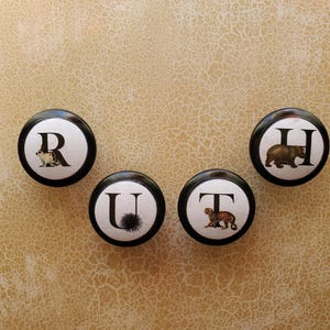 以下が含まれることがあります： 黒と白の装飾的な丸いキャビネットノブが5つ。各ノブにはアルファベットの文字と対応する動物のイラストが描かれています。Rはウサギ、Uはウニ、Tはトラ、Hはクマです。