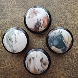 May include: Four round cabinet knobs with black edges and horse-themed artwork. The knobs feature images of horses in various colors, including brown, white, and black. The knobs are likely made of wood or a similar material.