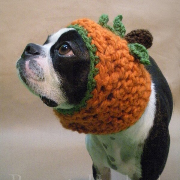 The Great Pumpkin Dog Hat