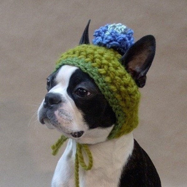 Bean Note Card - The Blue Blossom Dog Hat