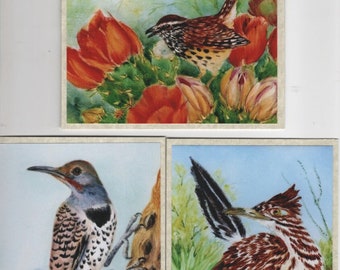 Cards Desert Birds, Cactus Wren, Roadrunner, Woodpecker Photo Cards