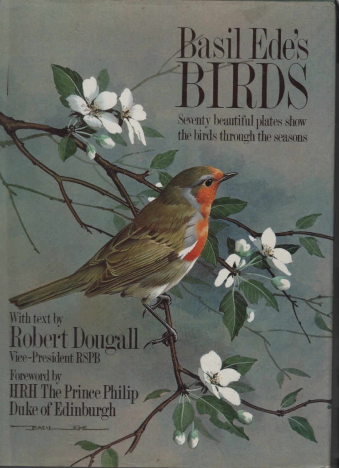 Basil Edes Birds Book & Birds and Bloom 2010 - Etsy