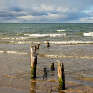 Remnants - Ludington State Park - Michigan Photography - Stock Photography