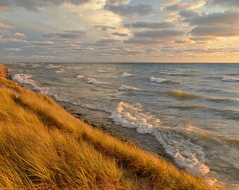 Ducks Can Dream - Duck Lake State Park - Michigan Photography