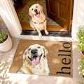 Custom Pet Portrait Watercolor Doormat, Personalized Dog Cat Welcome Mat, Pet Lover Gift, Family Dog Door Mat