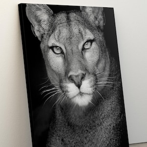 白黒ヒョウ柄、チーターポスター、ビンテージ写真、ファッションプリント、印刷可能なウォールアート、Y2Kルームウォールデコレーション、ウォールアートデコレーション