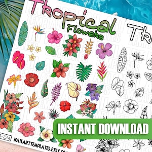 Tropical Flowers Nail Art Template Set | Botanical Floral Nail Designs | Digital Nail Decals | Line Art & Colored Practice Sheets