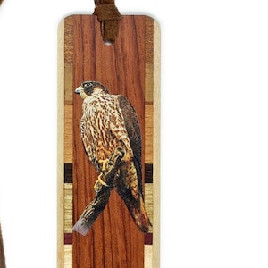 May include: Wooden bookmark with a colorful inlay design. The bookmark features a detailed image of a Peregrine Falcon perched on a branch. The text "Peregrine Falcon" is printed on the bookmark.