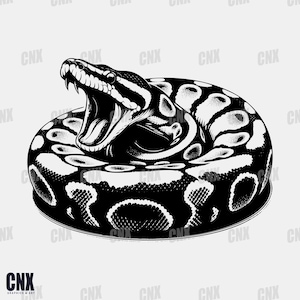 8 Ball Python Svg. Bundle Ball Python Svg. Snake Svg. Reptile. Boa constrictor Svg. Ferocious beast Svg. Silhouette. Vector. Laser file.