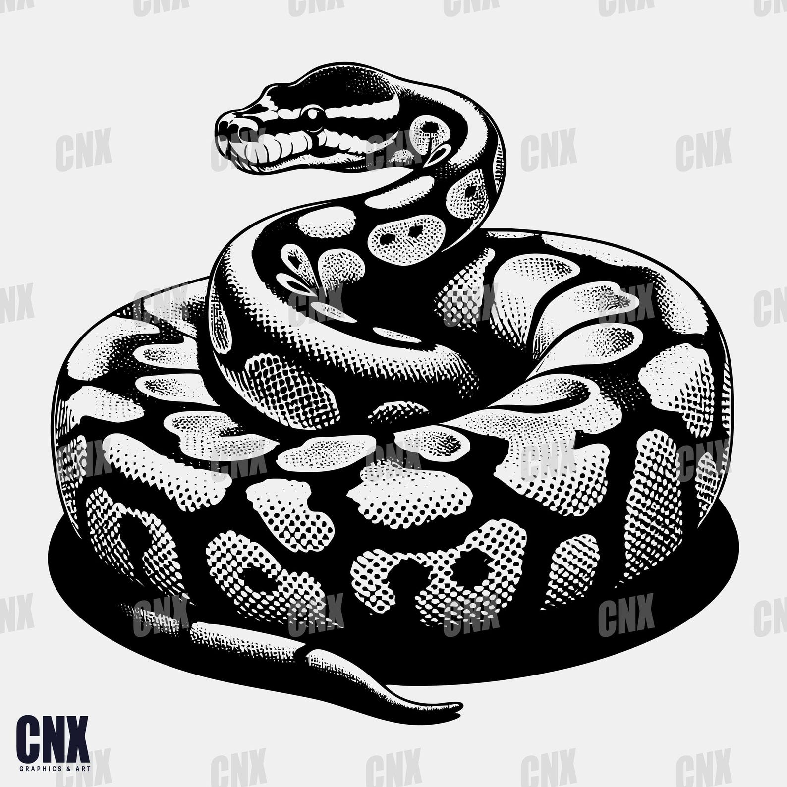 8 Ball Python Svg. Bundle Ball Python Svg. Snake Svg. Reptile. Boa ...