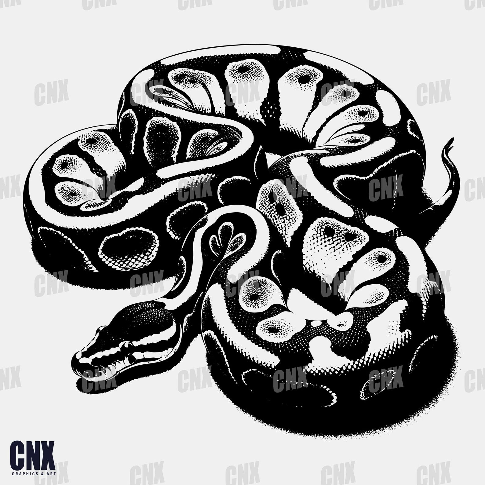 8 Ball Python Svg. Bundle Ball Python Svg. Snake Svg. Reptile. Boa ...