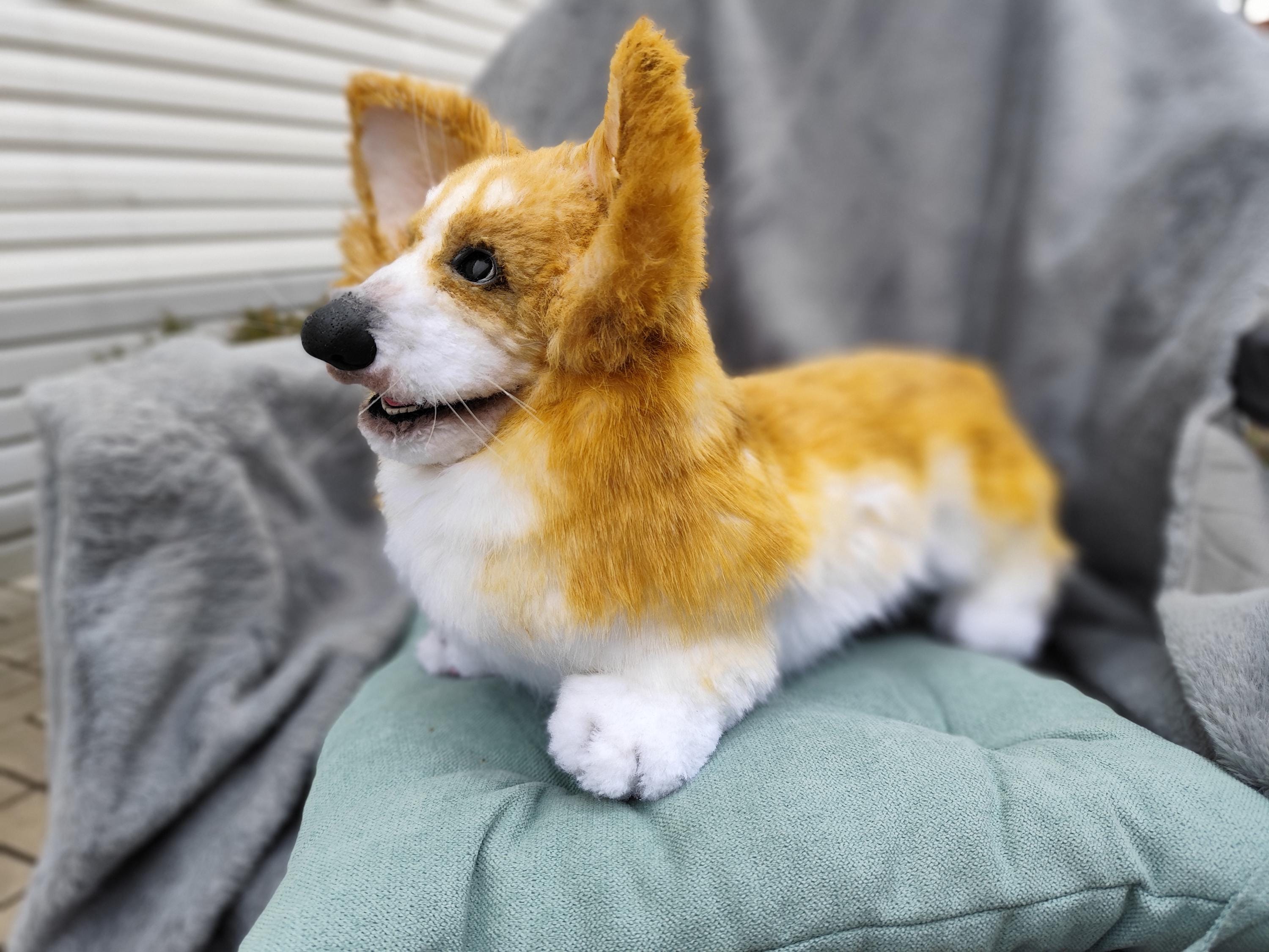 Realistic Corgi Toy Etsy UK