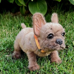 fawn french bulldog, bulldog puppy, french bulldog puppy, realistic french bulldog, french bulldog toy, yellow puppy, realistic fawn dog