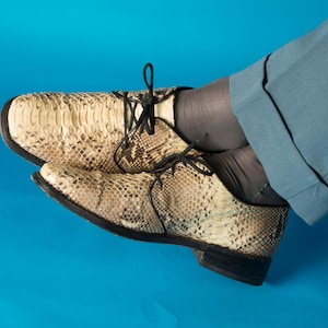 Könnte beinhalten: Ein Paar Schuhe aus Leder mit Schlangenmuster und schwarzen Schnürsenkeln und Sohlen. Die Schuhe sind beige und braun, mit einer strukturierten Oberfläche. Der Hintergrund ist einfarbig blau.