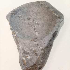 May include: A gray, irregularly shaped rock with a rough, textured surface. The rock has a light gray color with darker gray streaks and spots.