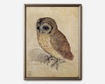 Vintage Little Owl Painting Print: Antique Artwork From 1500s, Bird Art, Farmhouse Wall Decor
