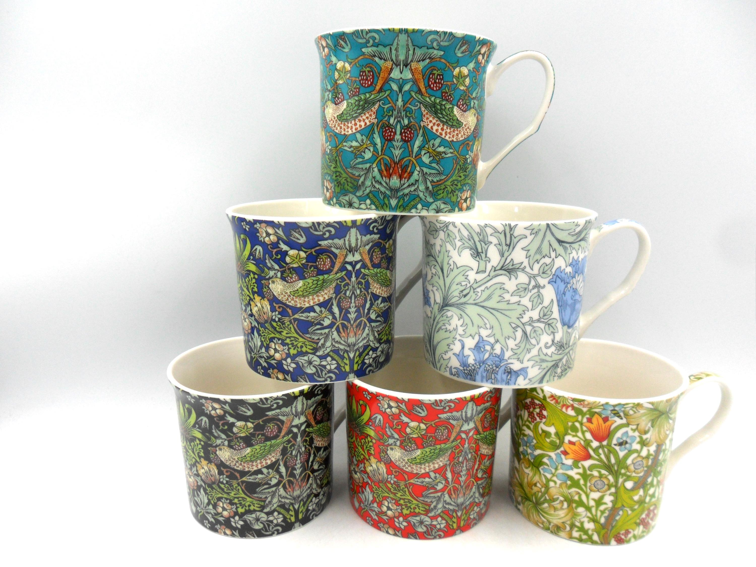 エクアドル産 Spodochlamys nazareti 34mm パラタイプ