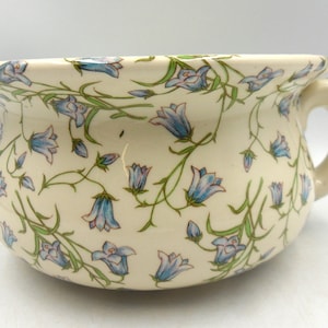 Peut inclure: Un pot de chambre en céramique blanche avec un motif floral bleu et vert. Le pot a une poignée sur le côté.