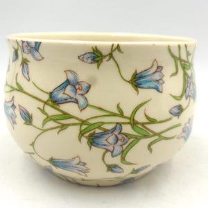 Peut inclure: Un bol en céramique de couleur crème décoré d'illustrations de campanules bleues et de vignes vertes. Le motif floral est répété sur l'extérieur du bol. Le bol a une forme arrondie et une finition lisse et brillante.