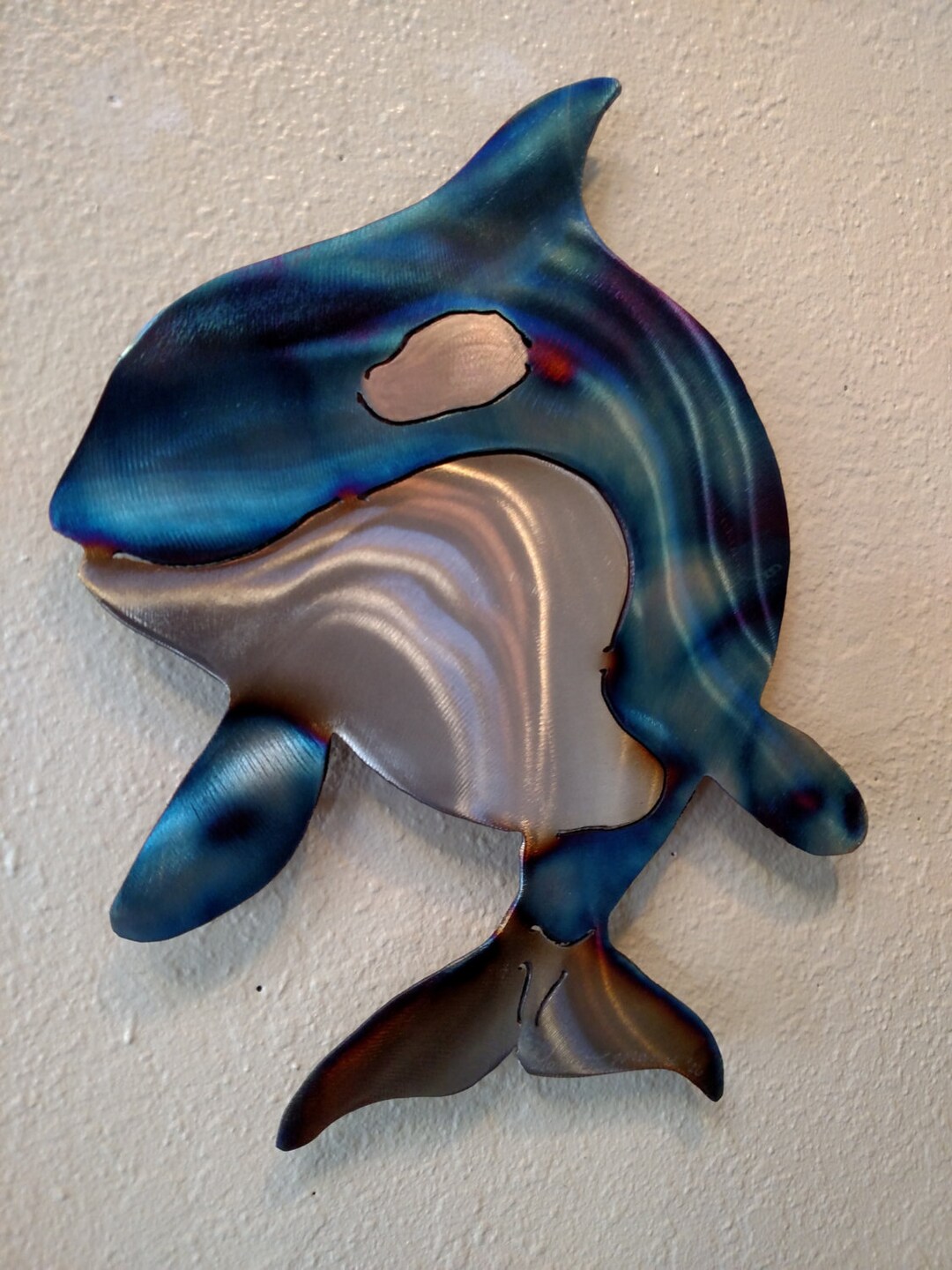 Orca Orcas Whidbey Island Killer Whale Whales Coast Coastal Steel Ocean