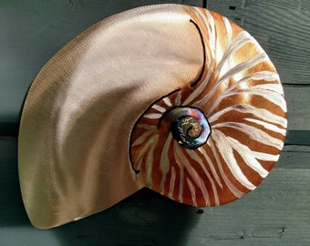 Small Nautilus Shell Metal Ocean Decor Stainless Steel Beach Cottage Home Surf Sand Coastal Beachcombing Wall Art Sea Creature Marine Life