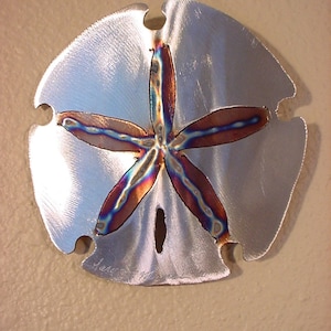 Sand Dollar Sanddollar Steel Wall Art Metal Ocean Beach House Coastal Cottage Home Decor A Day At The Beach Combing Tidal Surf Sand Waves