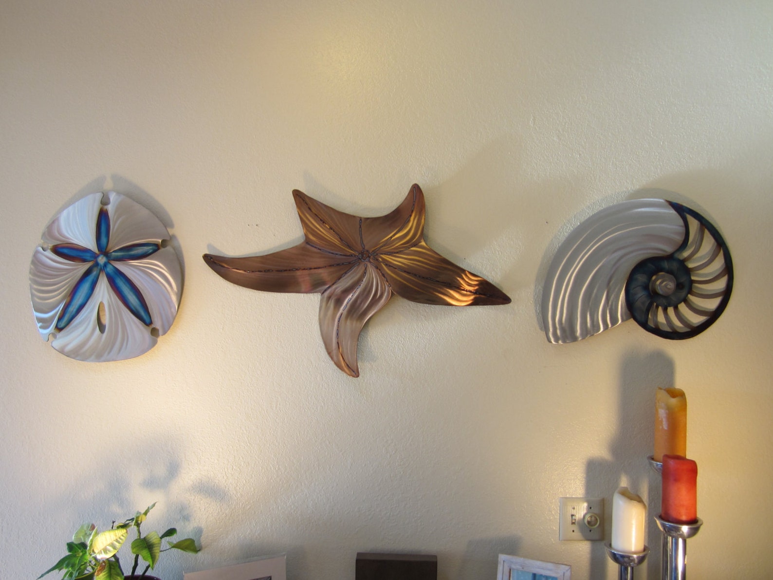 Large Sand Dollar Steel Wall Art Metal Ocean Beach House Etsy