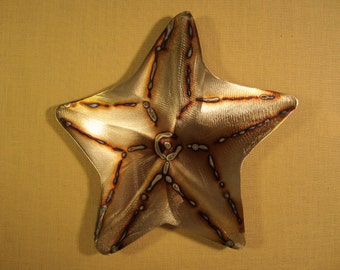 Bat Starfish Star Fish Steel Wall Art Metal Sea Ocean Beach House Coastal Cottage Home Decor Beach Combing Tidal Surf Sand