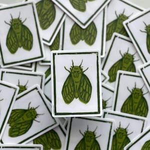 Cicada | Vinyl Sticker