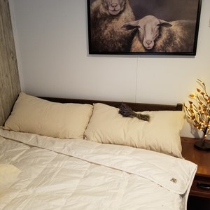 May include: A white duvet cover with a white comforter and two white pillows on a bed. A framed painting of two sheep is hanging on the wall above the bed.