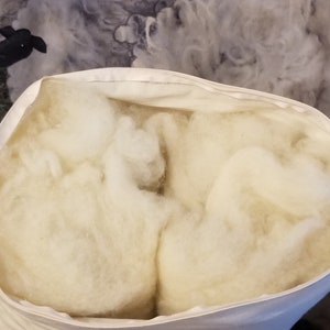 May include: A white pillowcase filled with white fluffy sheep wool. The pillowcase is open and the wool is visible.