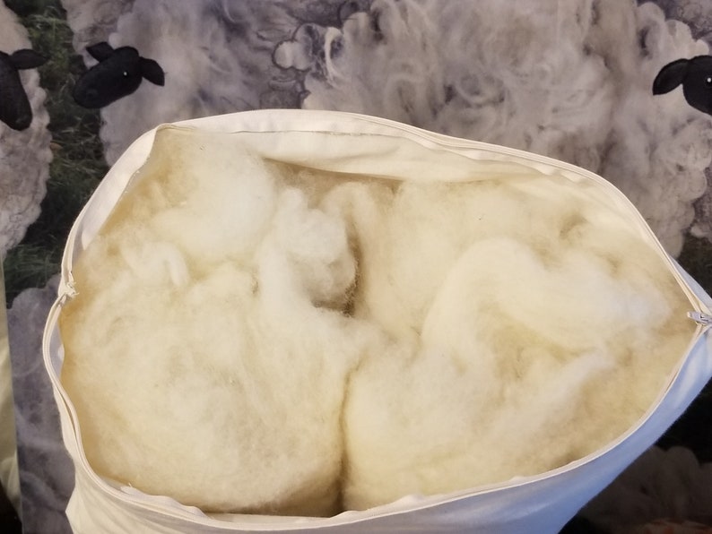 May include: A white pillowcase filled with white fluffy sheep wool. The pillowcase is open and the wool is visible.