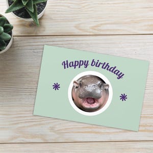 Baby Hippo Birthday Card: Funny Greeting Card