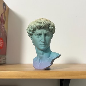Head of Michelangelo's David | Color | Gradient | Bust | Renaissance Art | Sizes |  Decor | 3D | Florence | Accademia | Man Figure | Italy