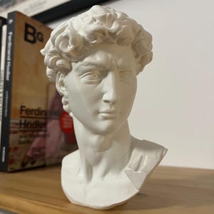 Head of Michelangelo's David | Outlet | Gradient | Bust | Renaissance Art | Sizes |  Decor | 3D | Florence | Accademia | Man Figure | Italy