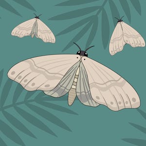 Articulated paper doll Moth in colour and black and white, Paper doll butterfly, digital download