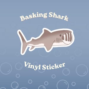 May include: A vinyl sticker featuring a brown basking shark with a wide open mouth, set against a blue background with white bubbles. The text Basking Shark is printed above the shark, and the text Vinyl Sticker is printed below the shark.