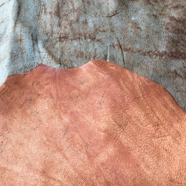 An amazingly unique very distressed double sided leather - in tones of beige and browns and aqua a full 4 plus square foot hide