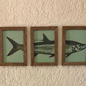 Florida Decor - Tarpon 3 piece Set- Florida Collection.