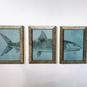 以下が含まれることがあります： 3つの額入り魚のアートプリントセット。各プリントは、淡い青色の背景に、グレーの色合いで描かれた魚の詳細なイラストを特徴としています。フレームは自然な木の色調で、アートワークに素朴な雰囲気を加えています。